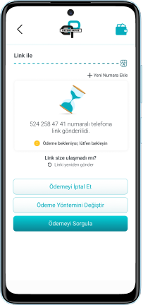 Özel bağlantı, Link ile ödeme